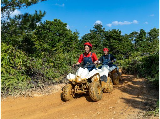 Northern Okinawa Yambaru Higashi Village Buggy Adventure 22 Broadcast On New Year S Day Popular Program 4 Years Old Participation Is Possible Forest View Farm Course Matayoshi Coffee Farm Activityjapan