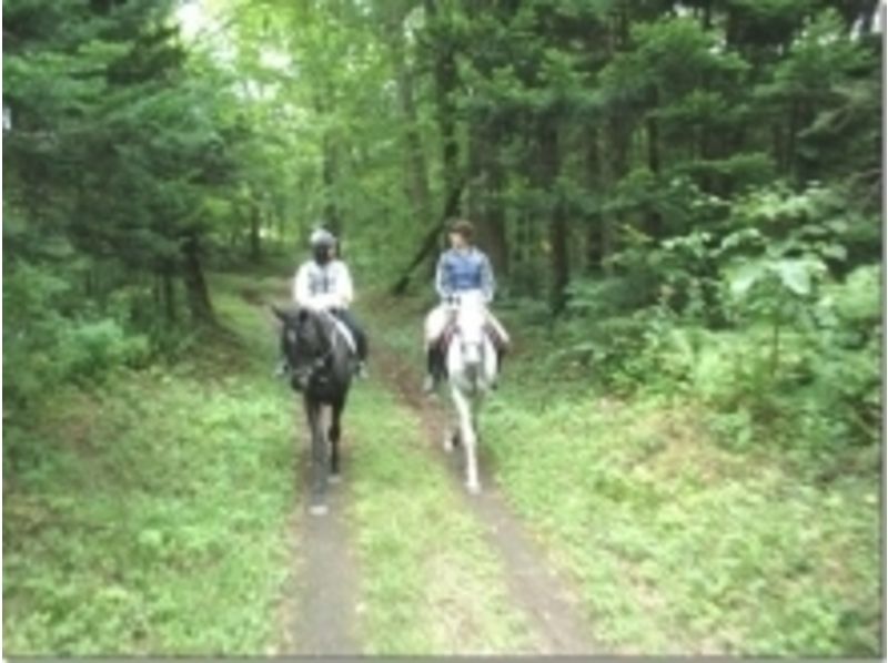 [北海道千歲]人們體驗！騎馬（120分課程）の紹介画像