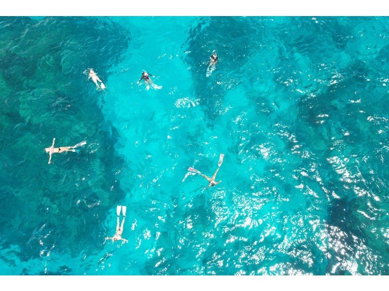 【沖縄・名護】シュノーケリング体験！西海岸の綺麗なサンゴ礁を探検しょう！！の紹介画像