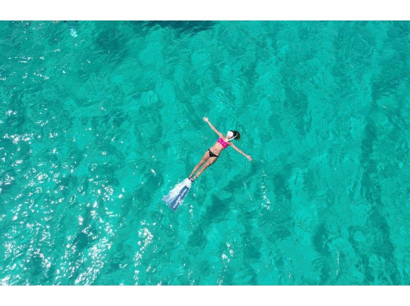 【沖縄・名護】シュノーケリング体験!西海岸の綺麗なサンゴ礁を探検しよう!!の紹介画像
