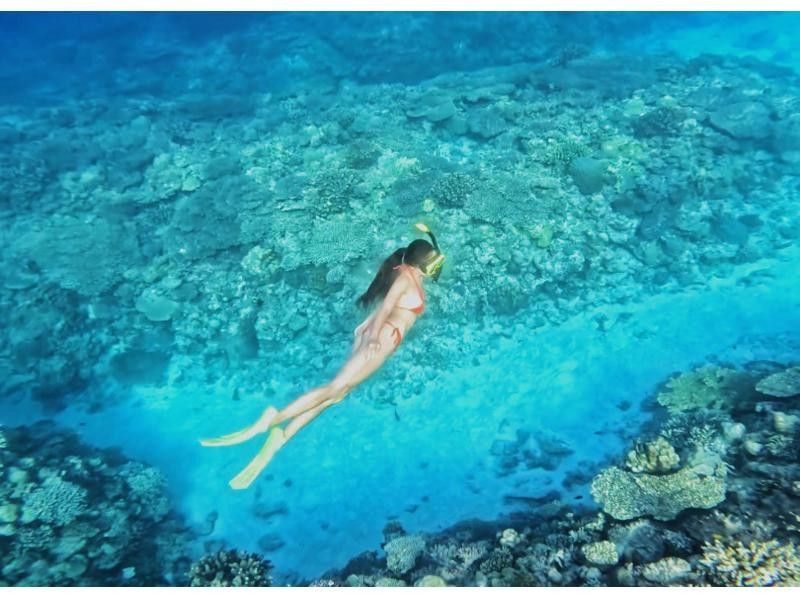 【沖縄・名護】シュノーケリング体験!西海岸の綺麗なサンゴ礁を探検しよう!!の紹介画像