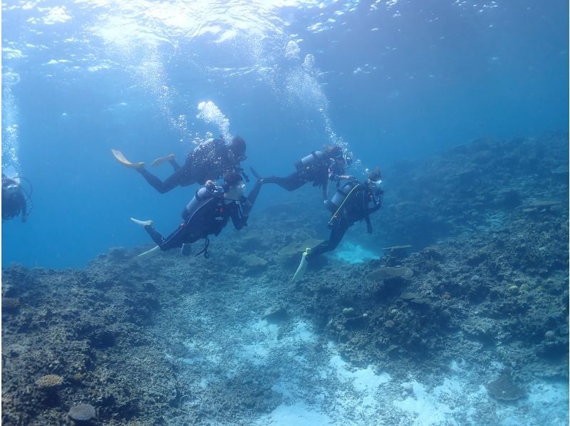 【沖縄・宮古島】水着があれば参加ＯＫ！体験ダイビング　半日ボートの紹介画像