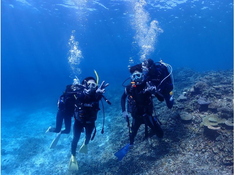 【沖縄・宮古島】水着があれば参加ＯＫ！体験ダイビング　半日ボートの紹介画像