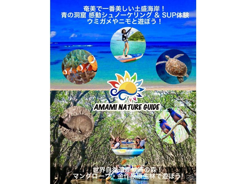[Kago / Amami] [World Natural Heritage / Amami Popular NO1! Mangrove virgin forest canoe & Modama waterfall tour! Comfortable small group tour] Video shooting, very popular!の紹介画像