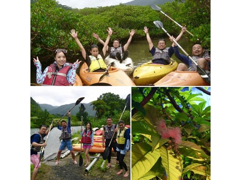 [Kago / Amami] [World Natural Heritage / Amami Popular NO1! Mangrove virgin forest canoe & Modama waterfall tour! Comfortable small group tour] Video shooting, very popular!の紹介画像