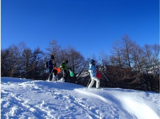 軽井沢 長野 群馬 スノーシュー 雪上そり滑り スノースライディング 最新 雪遊びバックカントリースノーシュー半日ツアー アクティビティジャパン