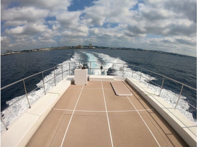 【沖縄・北谷発・半日】冬季限定！ホエールウォッチングツアー｜大型クルーザーを少人数で広々快適♪ ☆2/1～3/15は返金保証あり☆の紹介画像