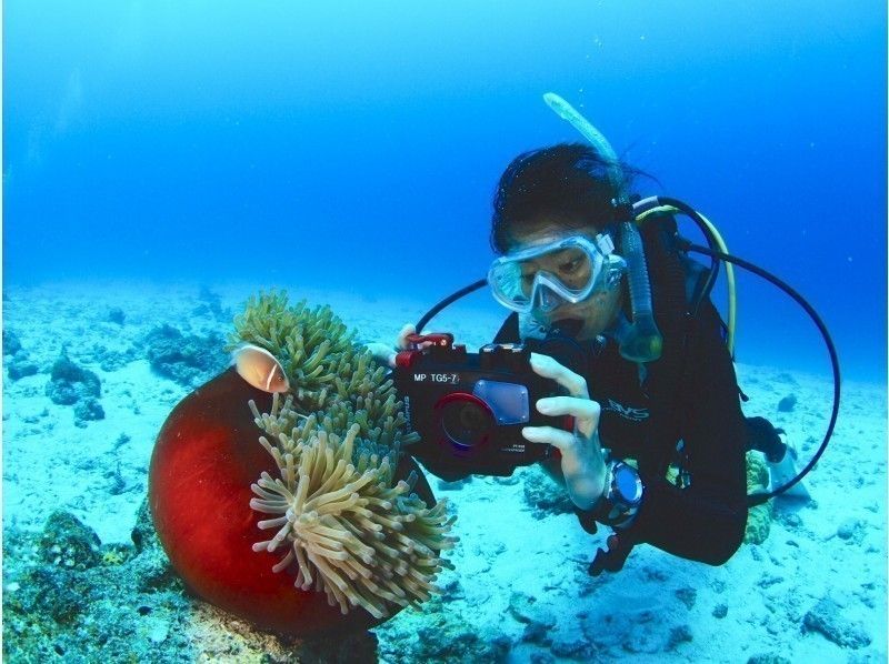 【Okinawa · Kerama】 Fun Diving! 3 dives! Free rental of OLYMPUS camera & diving equipment​ ​の紹介画像