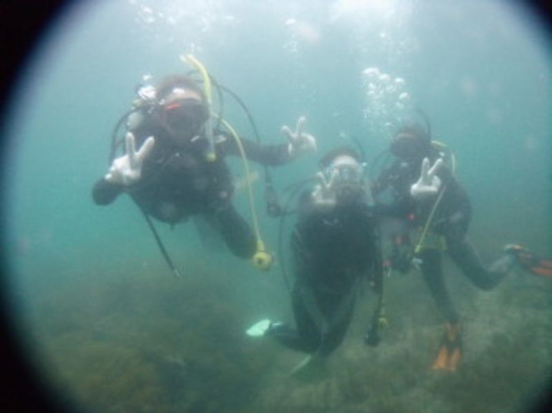 試用體驗潛水（南紀道）の紹介画像