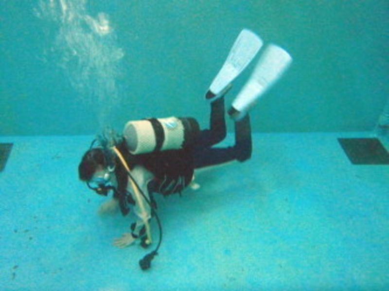 체험 체험 다이빙 (점내 풀 코스)の紹介画像