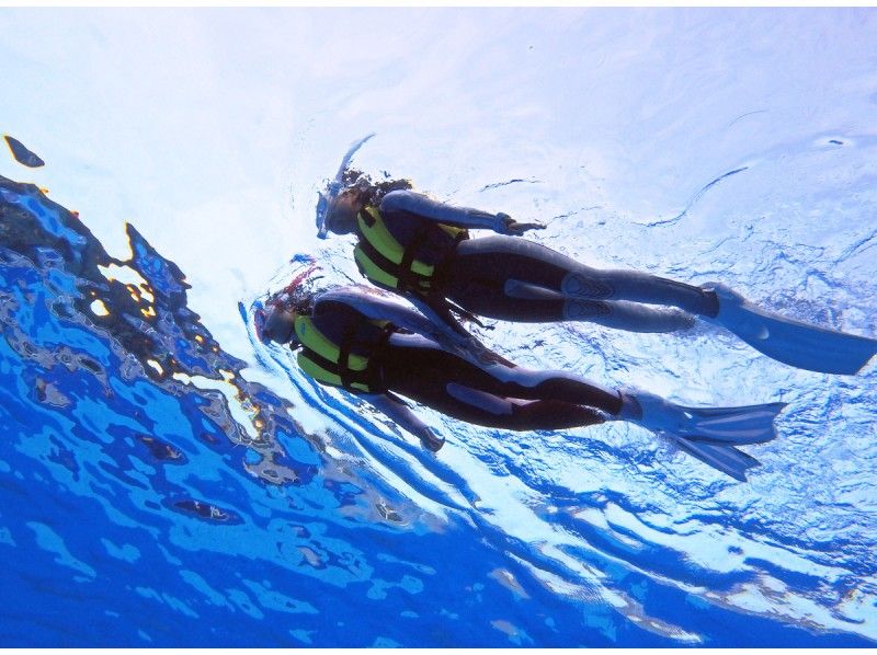 在日本海上地中海公園浮潛1天課程の紹介画像