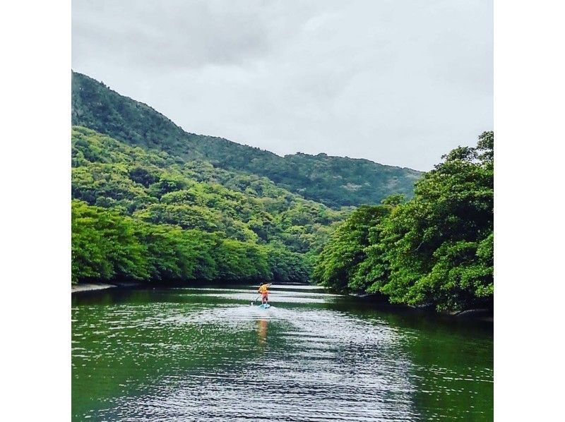 【 Okinawa Prefecture · Iriomote Island】 Enjoy the island with SUP! Cruising mangrove river and one coral reef!の紹介画像