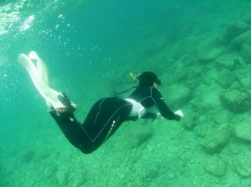 Snorkel Nanki / Echizen area One day course ※ underwater Shooting School Withの紹介画像
