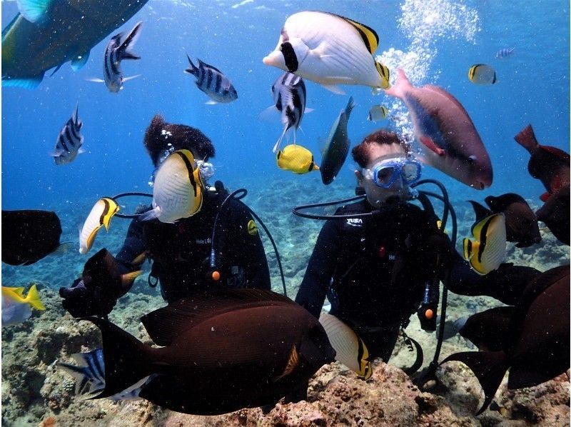 【享受2次深潛 ♪】藍洞+珊瑚礁套餐2豪華體驗深潛 ☆☆の紹介画像