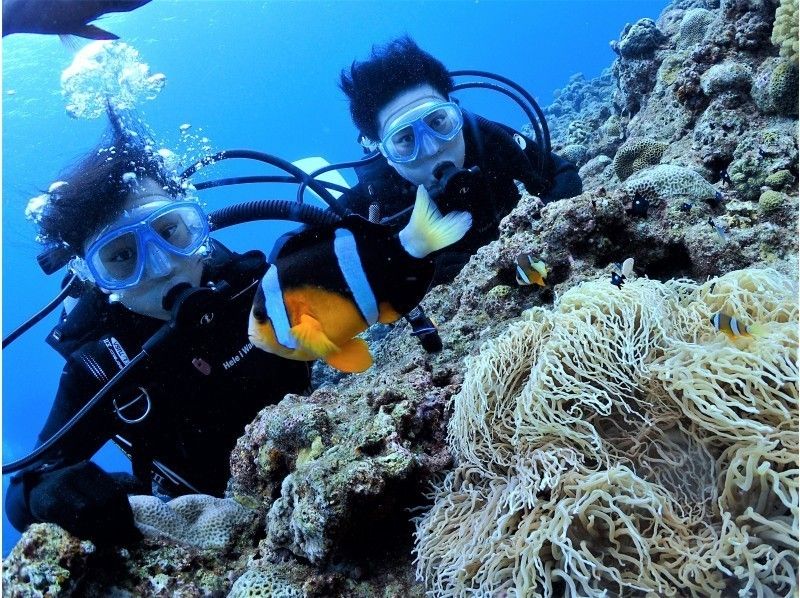 【享受2次深潛 ♪】藍洞+珊瑚礁套餐2豪華體驗深潛 ☆☆の紹介画像