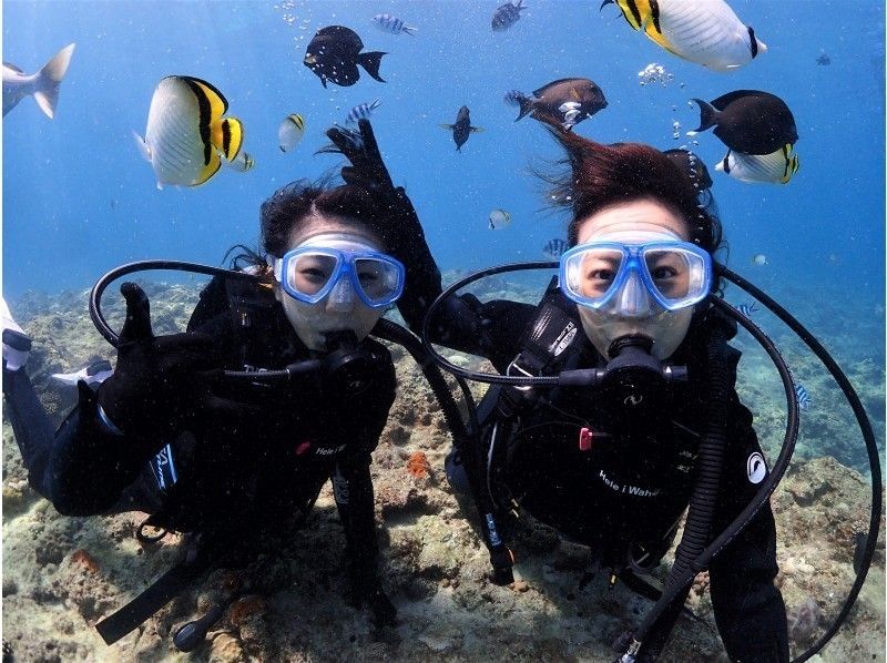 【Enjoy 2 Diving ♪】 Blue cave + coral reef course 2 luxury experience Diving ☆ ☆の紹介画像