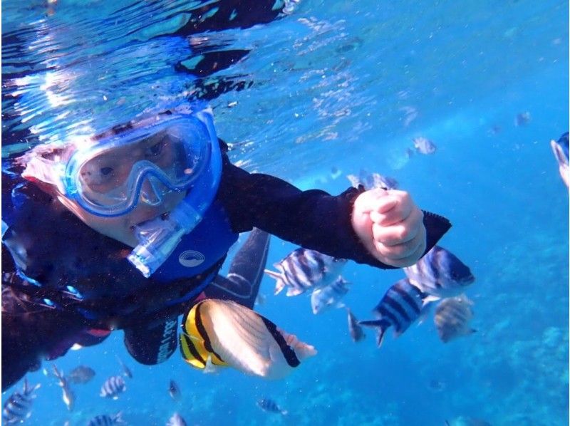 [Exclusive reservation for one group] Free for ages 3 and under! Blue Cave snorkeling {Ages 2 to 70 accepted} Free photography! Feeding experience included!の紹介画像