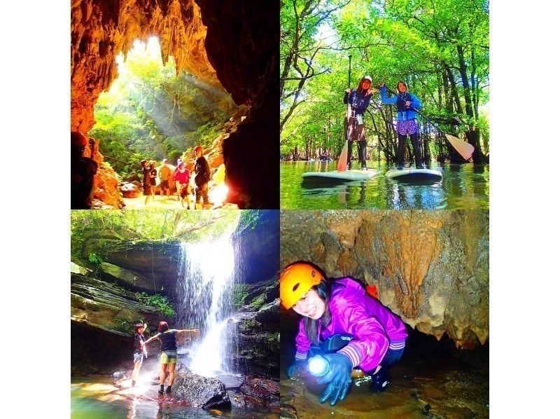 [이시가키지마· 이리 오모테 섬] 맹그로브 카누 정글 트레킹 원류 탐방 및 동굴 탐험 (동굴 탐험) 코스の紹介画像