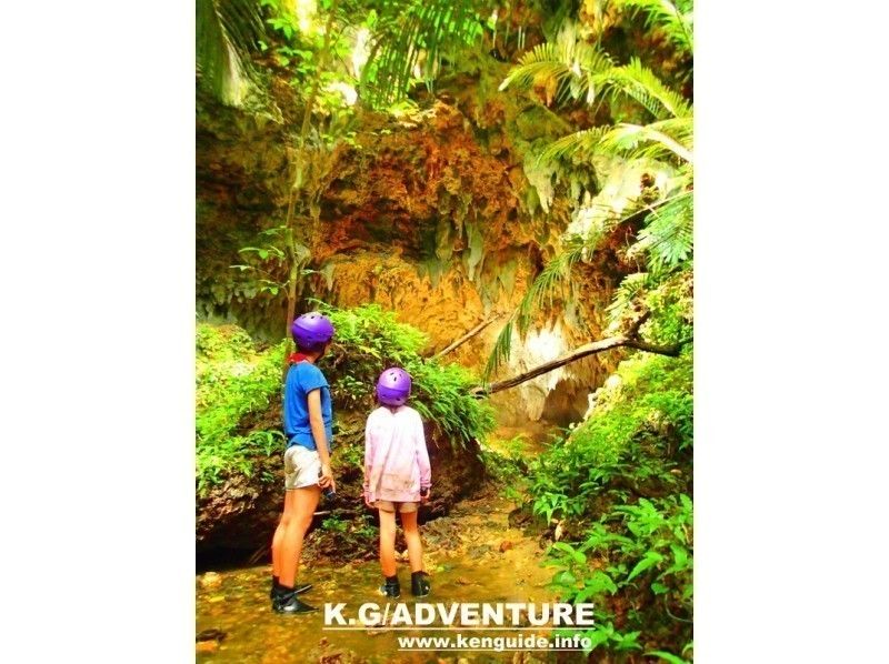 [Iriomote Island] Enjoy nature! a24. Mangrove canoe x trekking Unexplored power spot tour x caving (limestone cave expedition) [Tour photo data free]の紹介画像