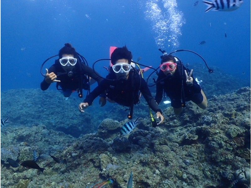 蓝洞体验深潜包括热带鱼饲养和照片优惠！ （一个人可以参加）（团体包机系统）の紹介画像