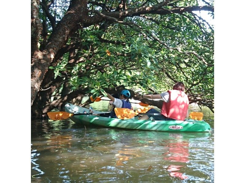 【 Okinawa Prefecture · Ishigaki City】 Mangrove · Canoe Tour of Miyara River 【90 minutes course】の紹介画像