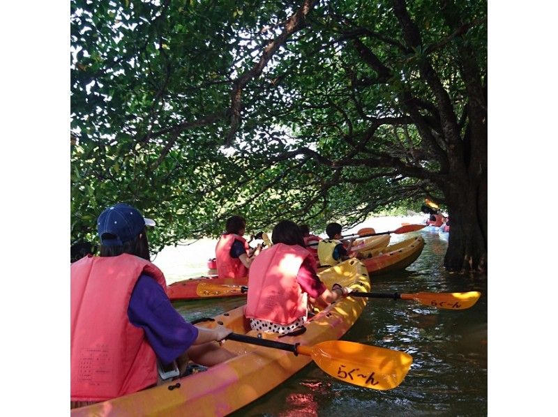 【 冲绳县·石垣市】红树林·米亚拉河独木舟之旅【90分钟套餐】の紹介画像