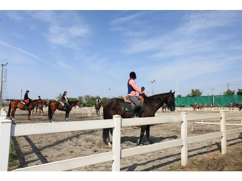 【三重・桑名・長島スポーツランド】乗馬を趣味にしたい方！基礎から学ぶの紹介画像