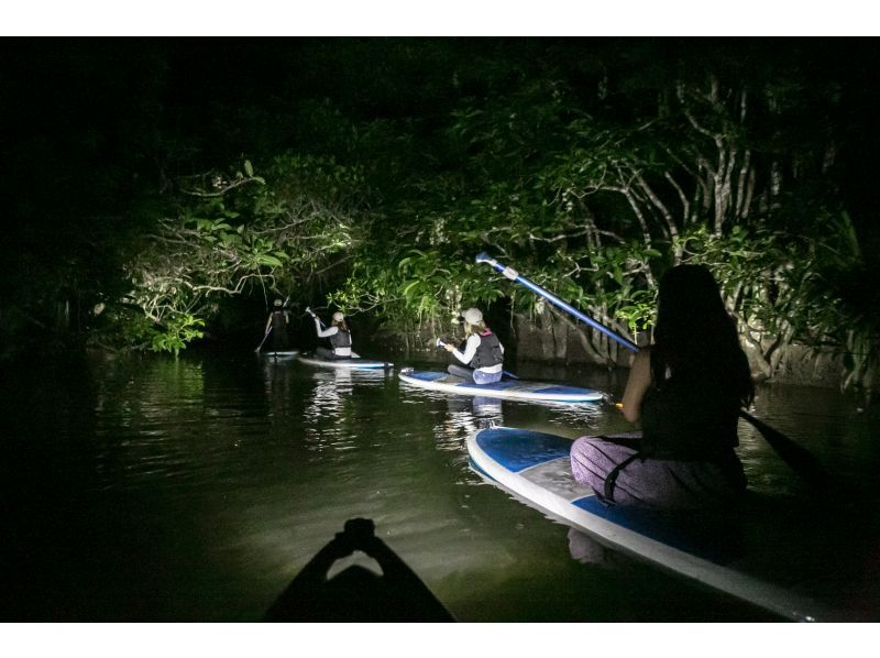 【西表島/夜】與幽靈「Sagaribana」一起巡遊！夜間叢林 SUP/獨木舟 [僅限 4 月至 8 月] ★免費照片★超級夏季促銷 2024の紹介画像