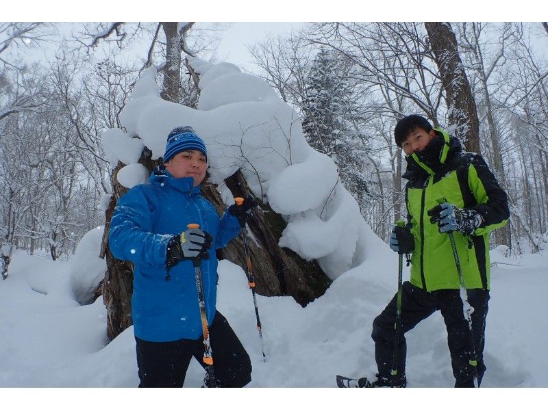 【 Sapporo center · With transfer】 Forest in north, Snowshoes trekking Asahiyama memorial park tour.の紹介画像