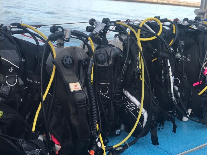 【渋谷から無料送迎/木、金、土曜日】ブランクダイバー必見！！の紹介画像