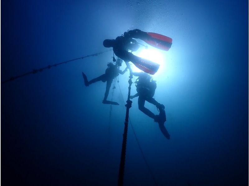 【渋谷から無料送迎/木、金、土曜日】ブランクダイバー必見！！の紹介画像