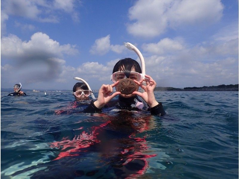 [치바· 오 키노 시마 섬] 다테야마의 바다를 만끽! 스킨다이빙체험の紹介画像