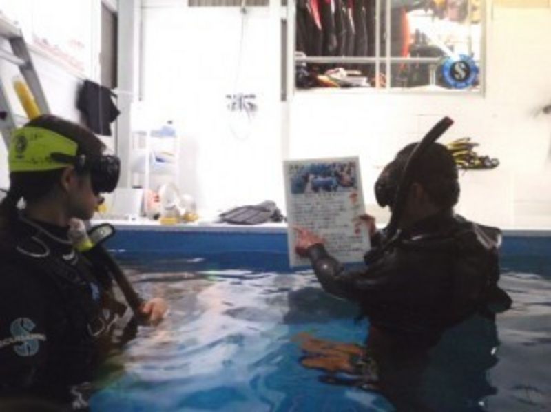 Skin dive / option courses with in-store pool courseの紹介画像