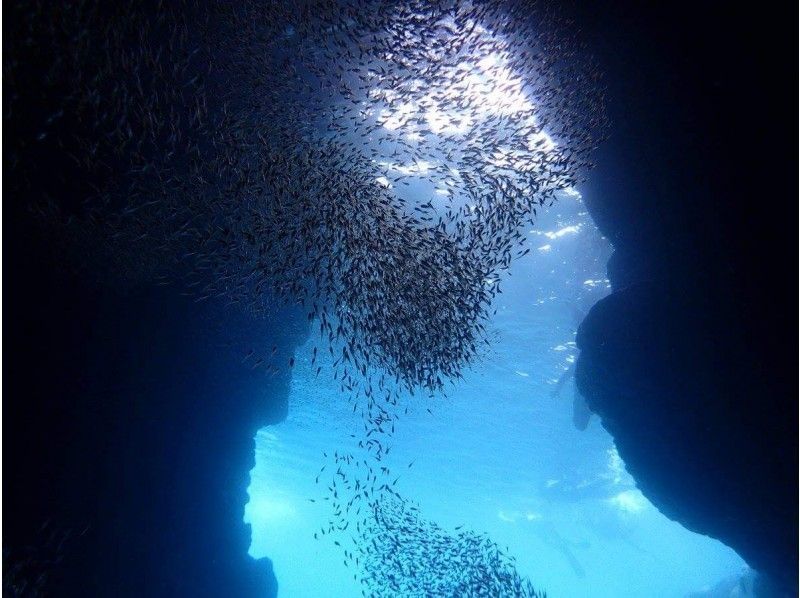 [Private reservation for one group] Blue Cave Experience Diving. Reservations can be made on the day! Since it is a private reservation, it is recommended for first-timers and those who are not good at swimming! Photography is free!の紹介画像