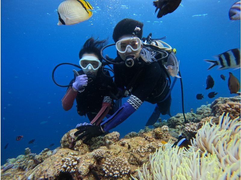 [Private reservation for one group] Blue Cave Experience Diving. Reservations can be made on the day! Since it is a private reservation, it is recommended for first-timers and those who are not good at swimming! Photography is free!の紹介画像