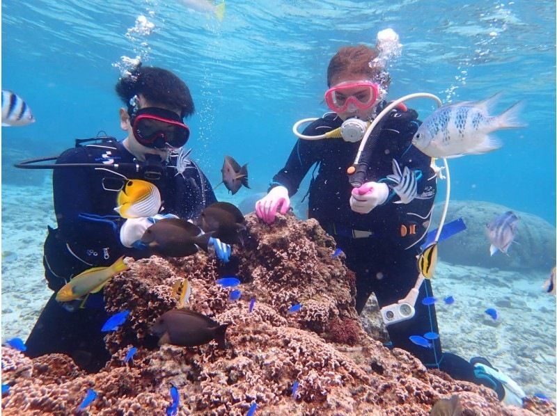 【1組貸切制】青の洞窟体験ダイビング 当日予約OK!!初めての方や泳ぎが苦手な方にオススメ!写真撮影無料！清潔な店舗◎シャワーや駐車場も無料の紹介画像