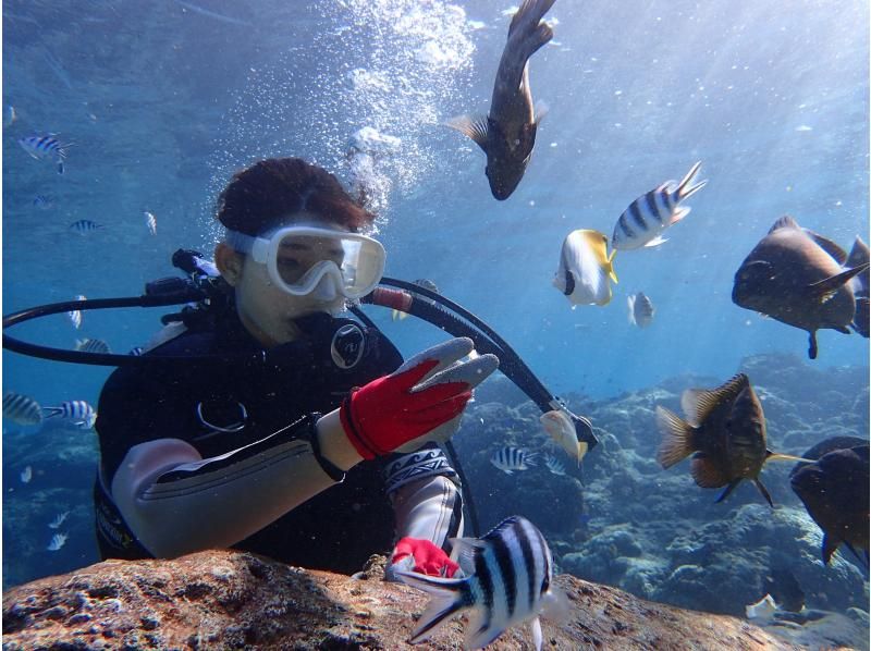 [Private reservation for one group] Blue Cave Experience Diving. Reservations can be made on the day! Since it is a private reservation, it is recommended for first-timers and those who are not good at swimming! Photography is free!の紹介画像