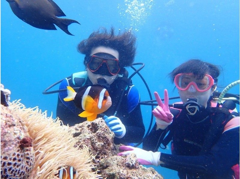 [Private reservation for one group] Blue Cave Experience Diving. Reservations can be made on the day! Since it is a private reservation, it is recommended for first-timers and those who are not good at swimming! Photography is free!の紹介画像