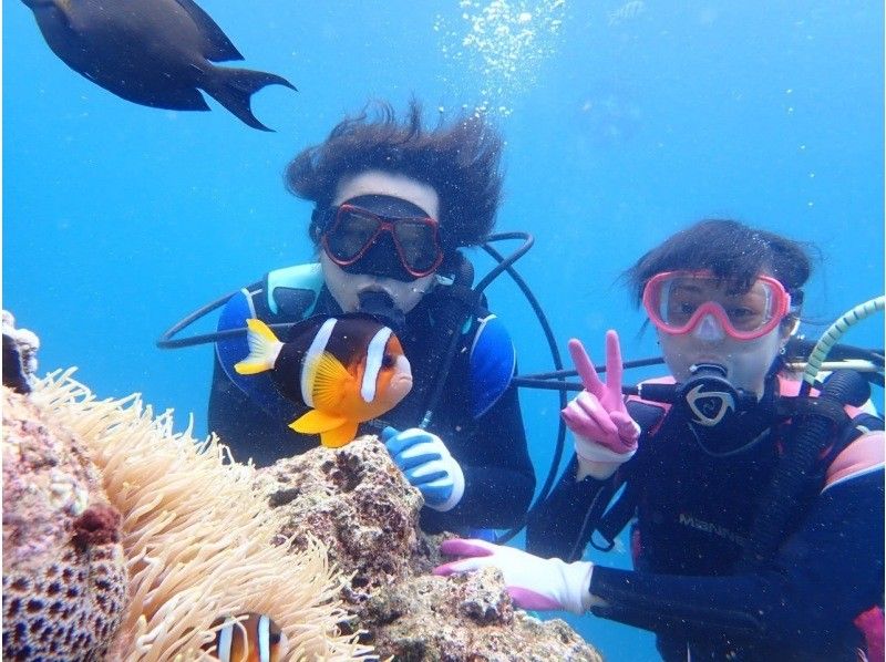 【1組貸切制】青の洞窟体験ダイビング 当日予約OK!!初めての方や泳ぎが苦手な方にオススメ!写真撮影無料！清潔な店舗◎シャワーや駐車場も無料の紹介画像