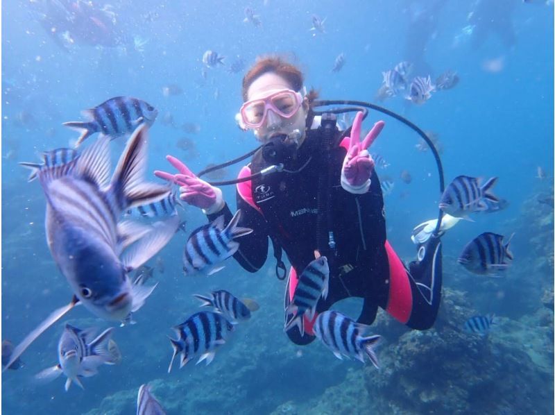 【1組貸切制】青の洞窟体験ダイビング 当日予約OK!!初めての方や泳ぎが苦手な方にオススメ!写真撮影無料！清潔な店舗◎シャワーや駐車場も無料の紹介画像