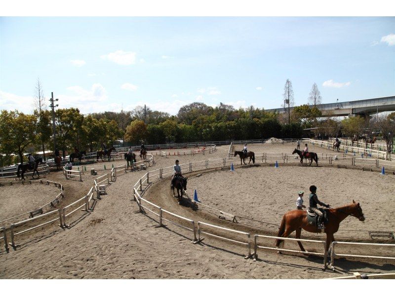 大阪府經營者「Horseback Club Crane Osaka」提供的騎馬體驗