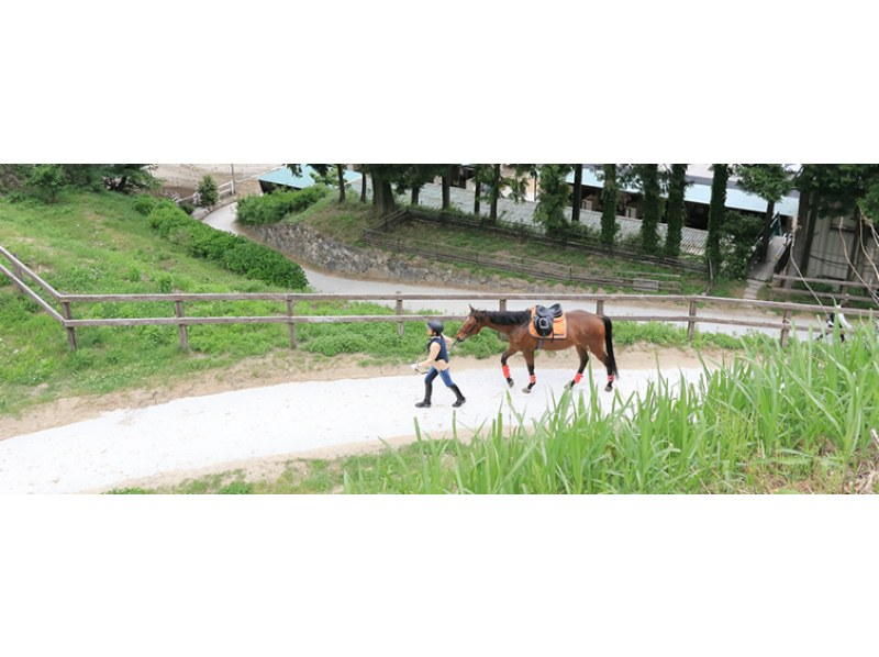 [Nara ・ Gosho: safe even for the first time! One-on-one Horse riding Experience (With a shuttle bus)の紹介画像