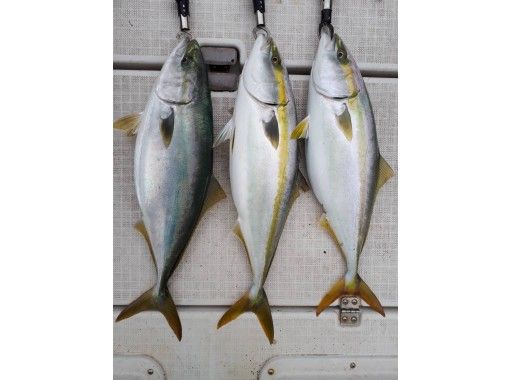 東京 羽田 船長オススメ チャーター便 兎に角釣りたい方必見 釣った魚を調理してくれるお店もご紹介可 アクティビティジャパン