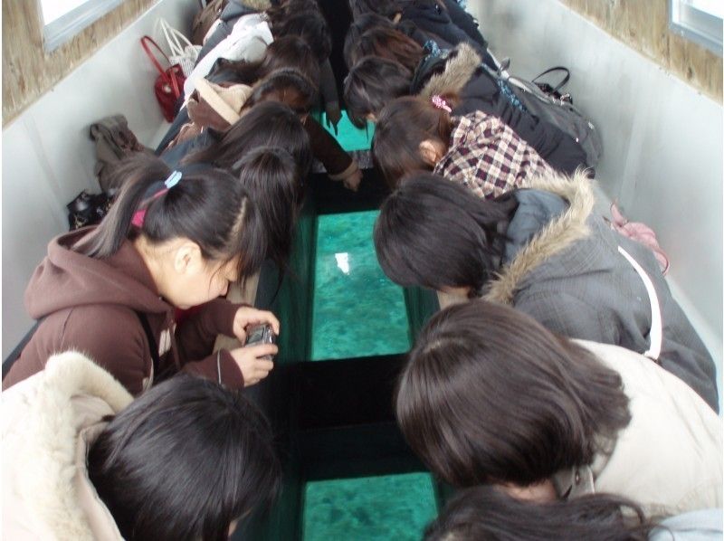 【沖縄・南城市】気軽に海中観光！グラスボート遊覧の紹介画像