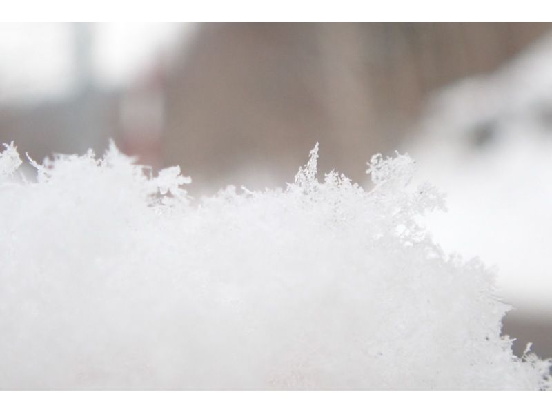 ทัวร์ส่วนตัวครึ่งวันจากซัปโปโร: เดินป่าบนหิมะที่ทะเลสาบชิโกสึและเทศกาลน้ำแข็ง (เปิดให้บริการตั้งแต่วันที่ 31 มกราคม ถึง 23 กุมภาพันธ์ 2569)の紹介画像