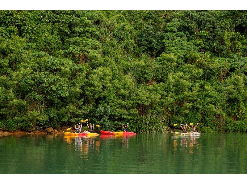 Sunset Mangrove Kayak Tour [Reservations available on the day] ★ Tour images provided! Very popular with girls' trips and couples! Conveniently located in the central part of the main islandの紹介画像