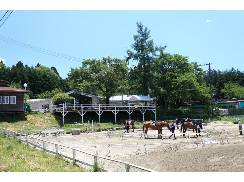 [Gifu ・ Ena] I am relieved even for the first time! One to one Horse riding Experience (With a shuttle bus)の紹介画像