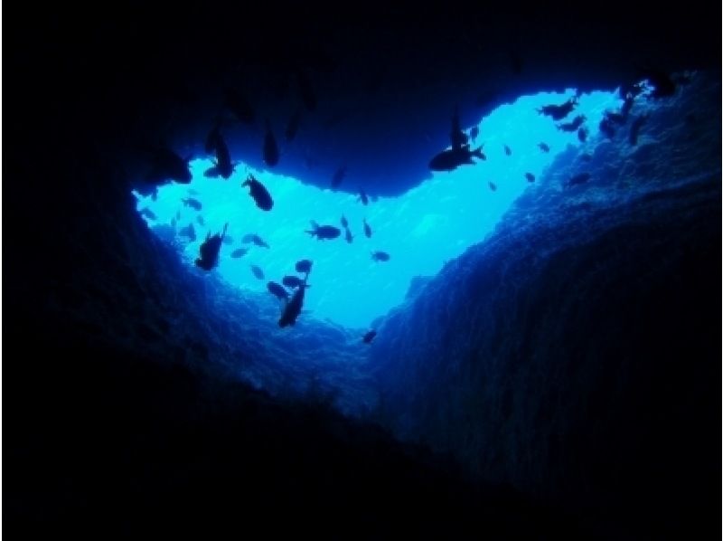 沖繩「海洋之門潛水」在萬座Hors-o-Sho享受潛水樂趣
