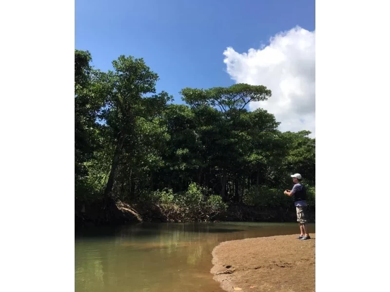 [ Okinawa · Ishigaki island 】 In a mangrove Ishigaki island Surrounded by the great nature of Kayak Fishingの紹介画像