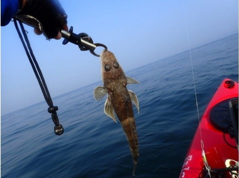 [Osaka ・ Wakayama]Kayak Fishing tour empty-handed!の紹介画像